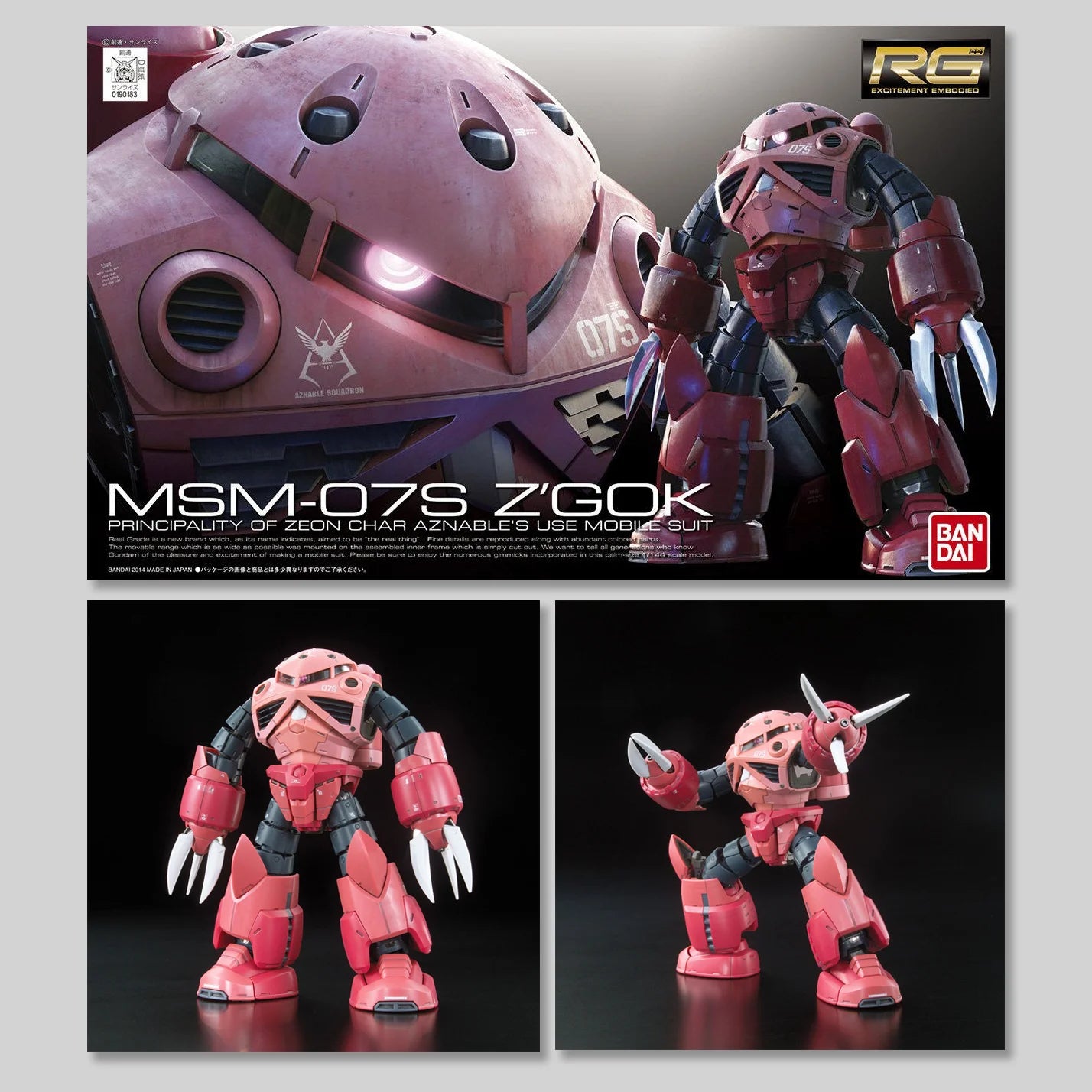 L250101 | Bandai (RG 1/144) MSM-07S Z’Gok